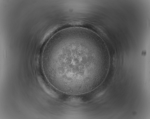 X0000113370491200909221226