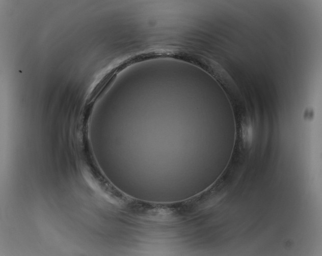 X0000113370492200909221226