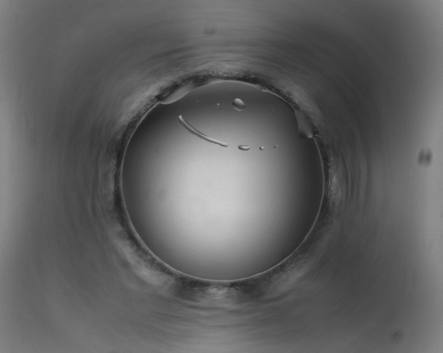 X0000113370493200909221226
