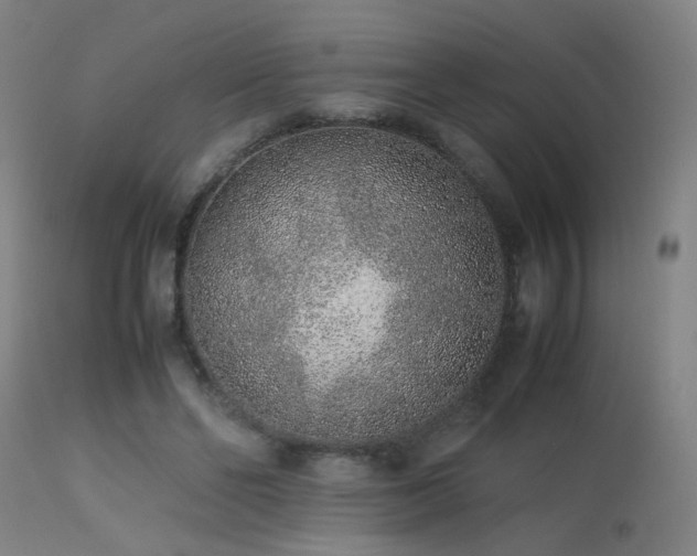 X0000113370494200909221226