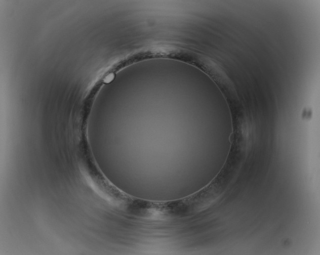 X0000113370496200909221226