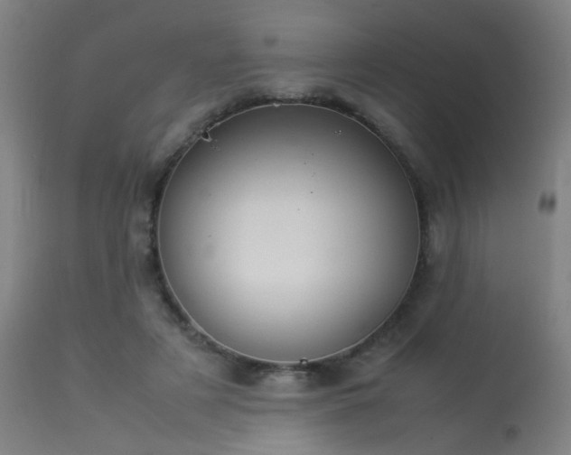 X0000113370497200909221226