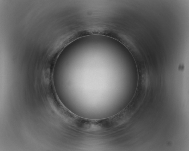 X0000113370498200909221226