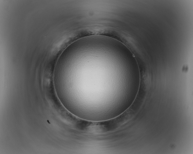 X0000113370499200909221226