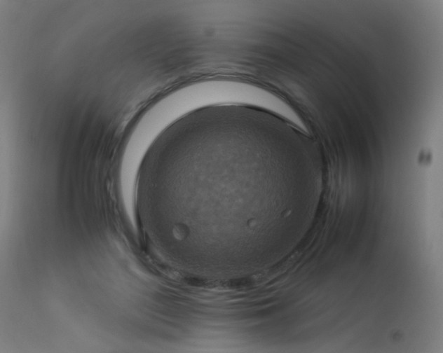 X0000113370500200909221226