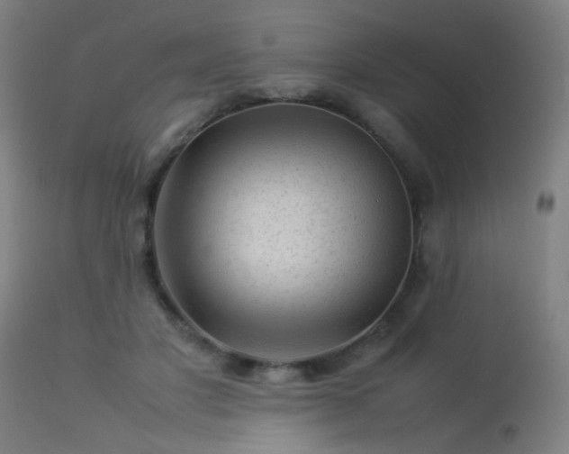 X0000113370501200909221226