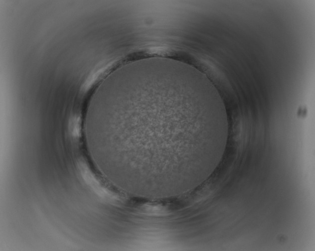 X0000113370502200909221226