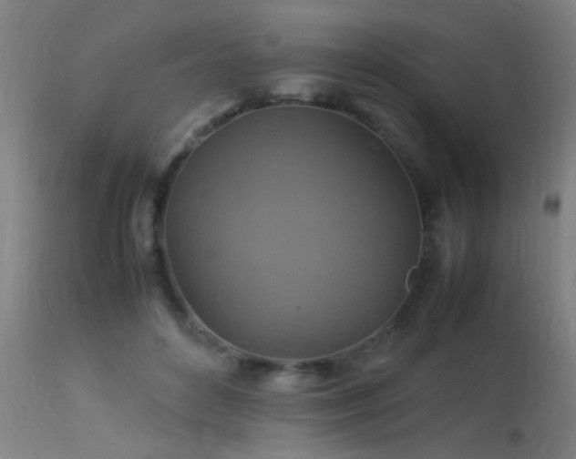 X0000113370504200909221226