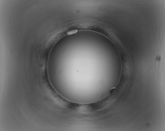 X0000113370505200909221226