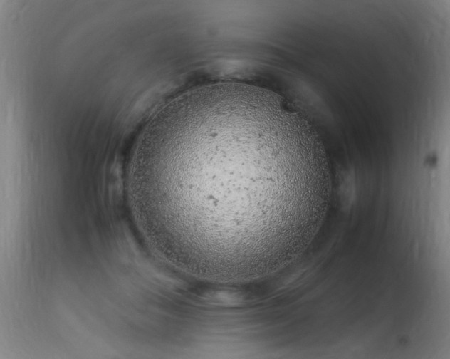 X0000113370506200909221226