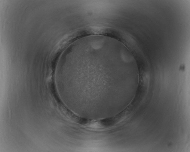 X0000113370507200909221226