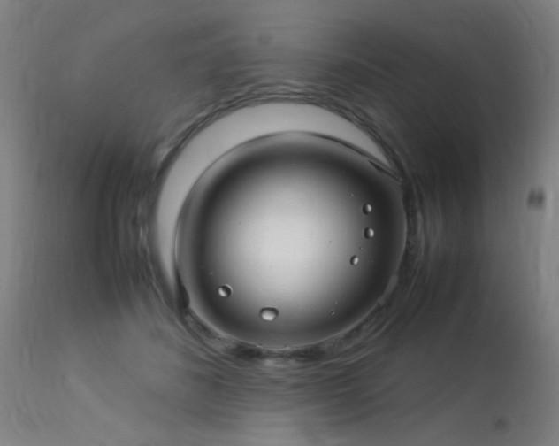 X0000113370508200909221226