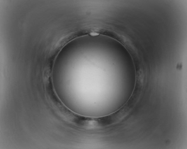 X0000113370509200909221226