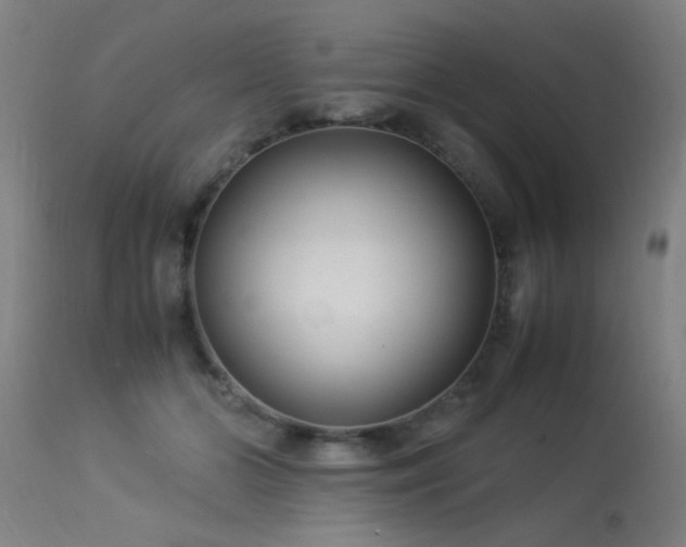 X0000113370510200909221226