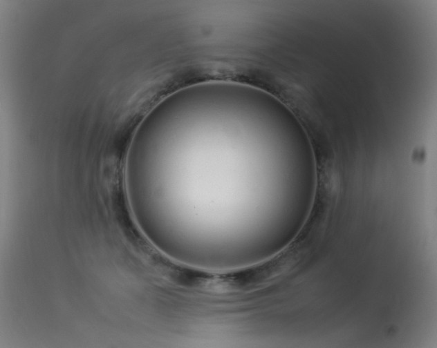 X0000113370511200909221226