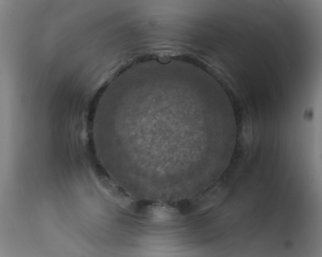 X0000113370512200909221226