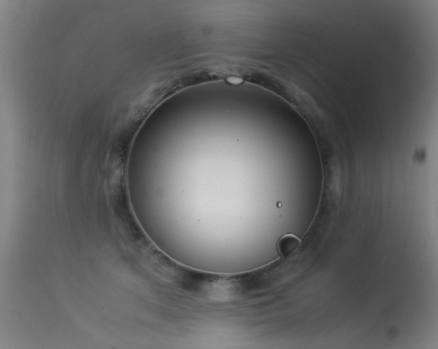 X0000113370513200909221226