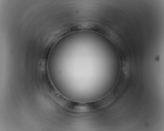 X0000113370514200909221226