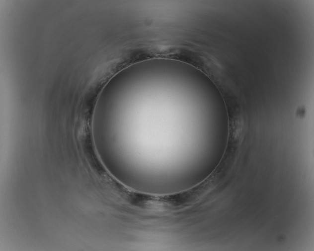 X0000113370515200909221226