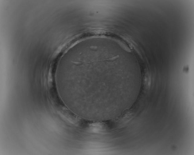 X0000113370516200909221226