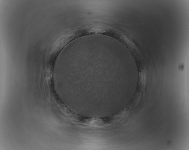 X0000113370517200909221226