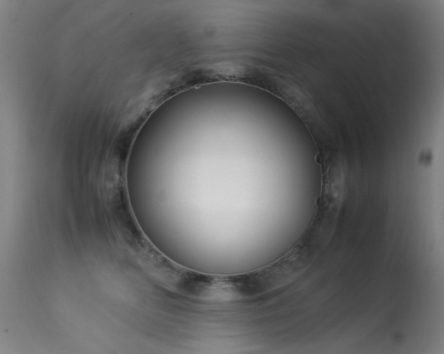 X0000113370518200909221226