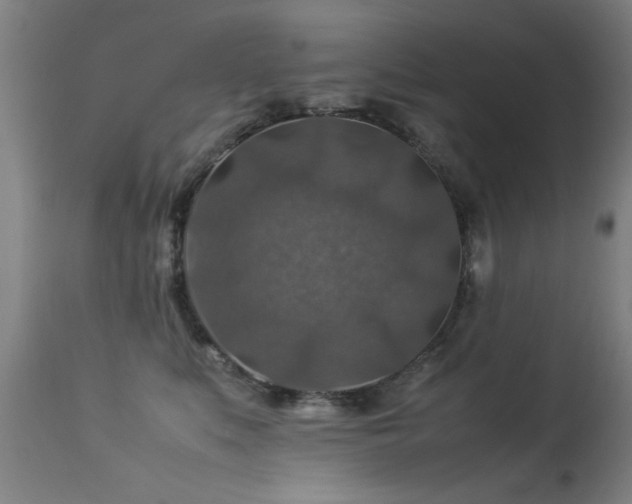 X0000113370519200909221226
