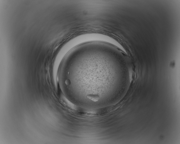 X0000113370520200909221226