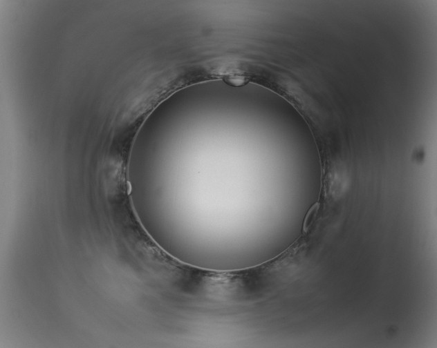 X0000113370521200909221226