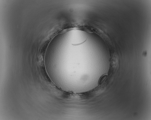 X0000113370523200909221226