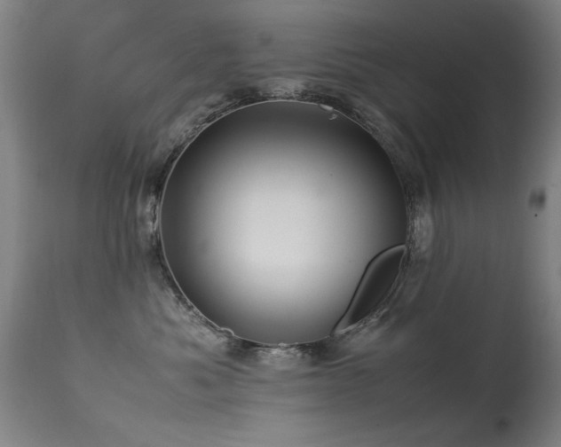 X0000113370525200909221226