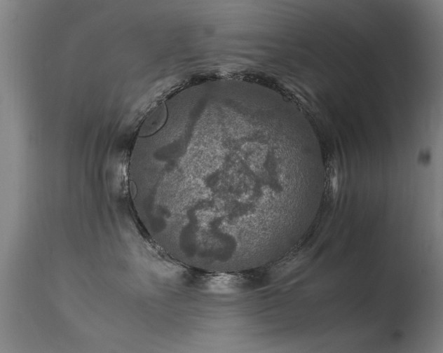 X0000113370527200909221226