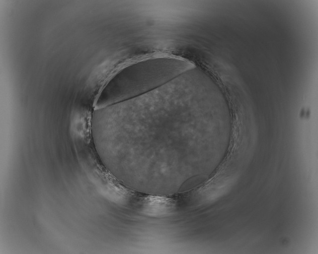 X0000113370528200909221226