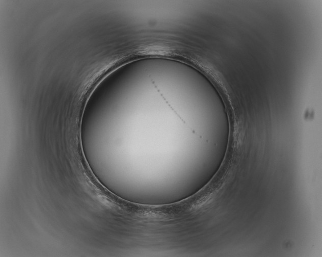 X0000113370529200909221225