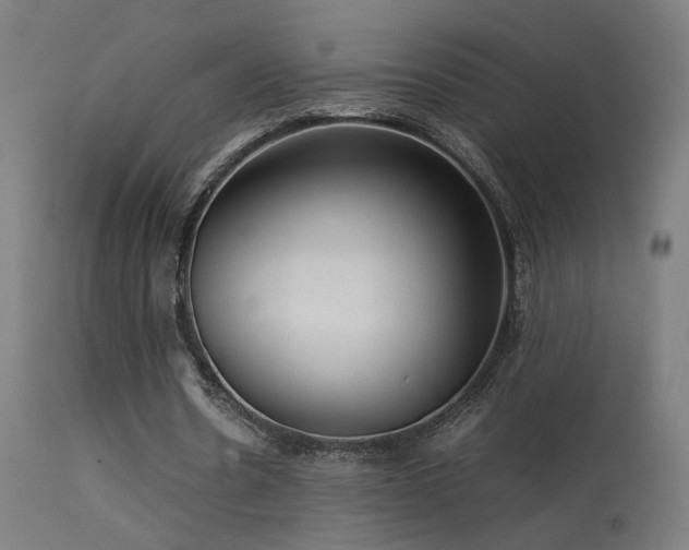 X0000113370530200909221225