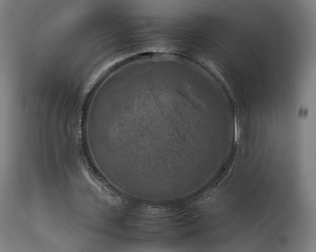 X0000113370531200909221225