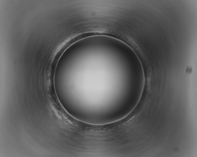X0000113370532200909221225