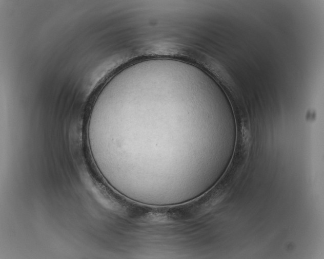 X0000113370534200909221225