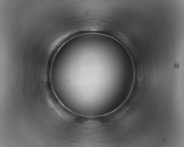 X0000113370536200909221225