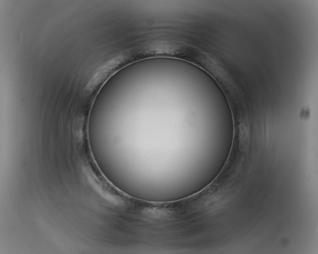 X0000113370537200909221225