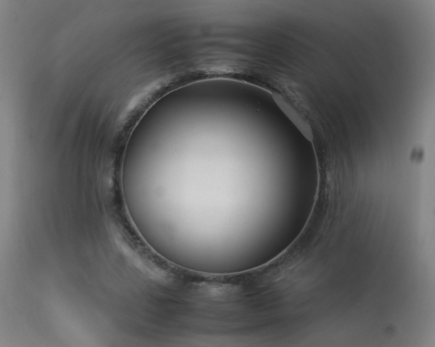 X0000113370539200909221225