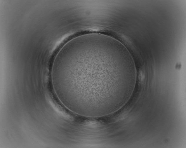 X0000113370540200909221225