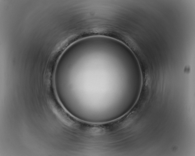 X0000113370542200909221225
