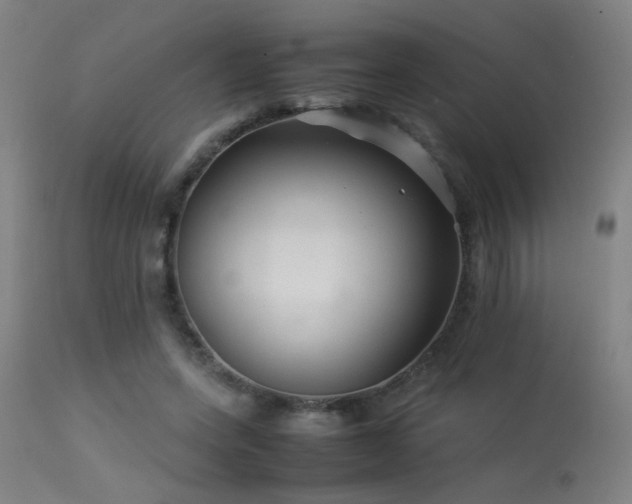 X0000113370543200909221225