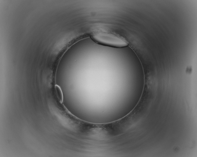 X0000113370544200909221225
