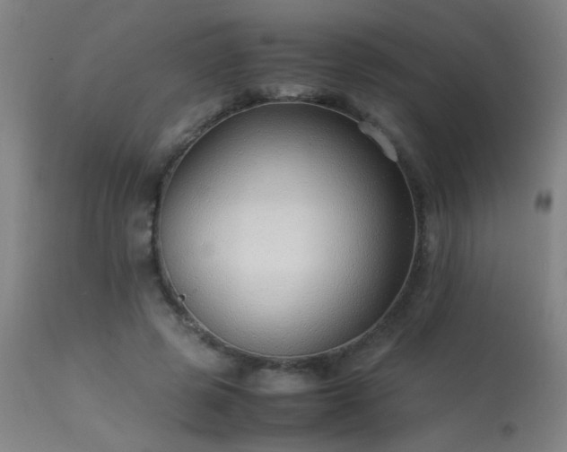 X0000113370545200909221225