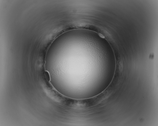 X0000113370546200909221225