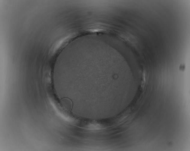 X0000113370547200909221225