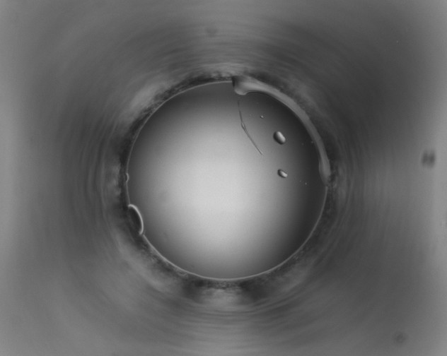 X0000113370548200909221226