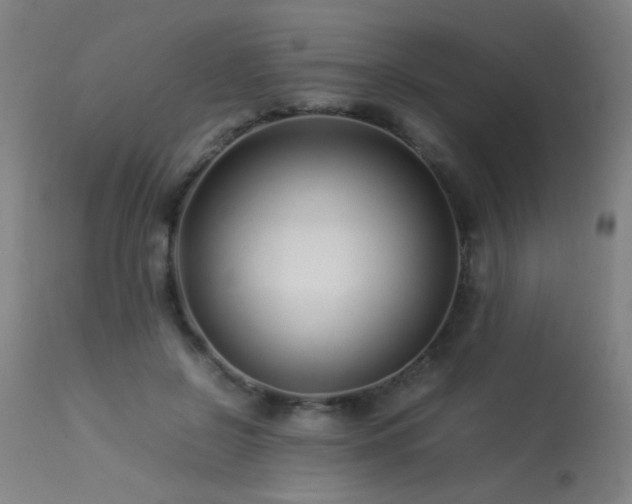 X0000113370550200909221226